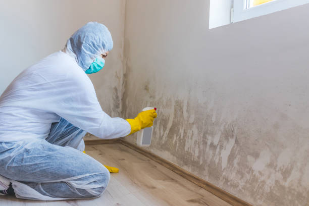 Commercial Mold Remediation assessment for commercial property in Goodlettsville